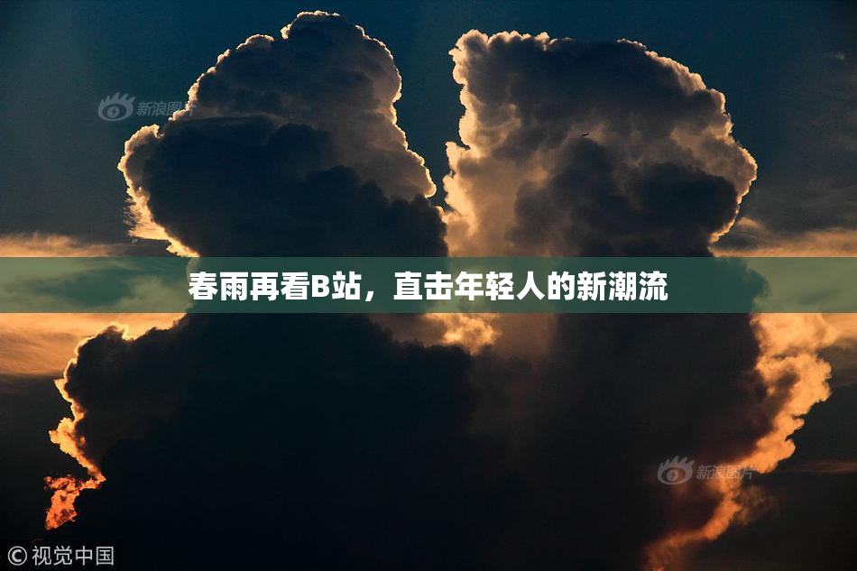 春雨再看B站，直击年轻人的新潮流