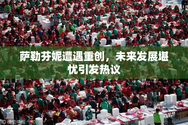 萨勒芬妮遭遇重创，未来发展堪忧引发热议