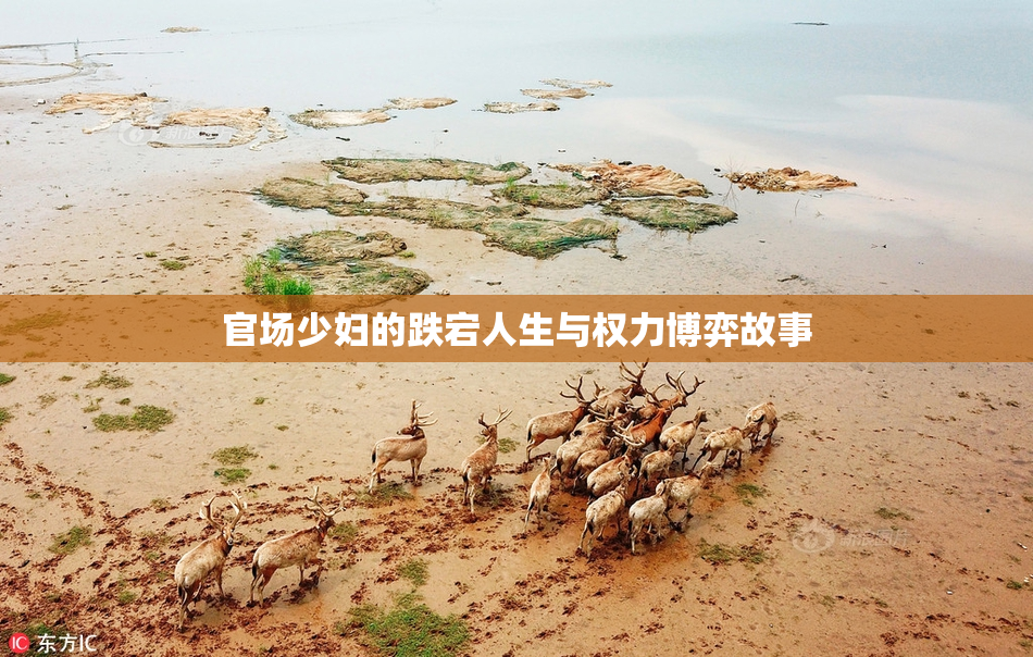 官场少妇的跌宕人生与权力博弈故事