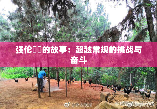 强伦妺妺的故事：超越常规的挑战与奋斗