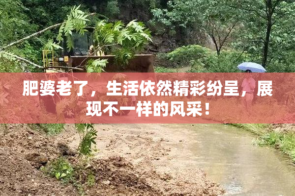 肥婆老了，生活依然精彩纷呈，展现不一样的风采！