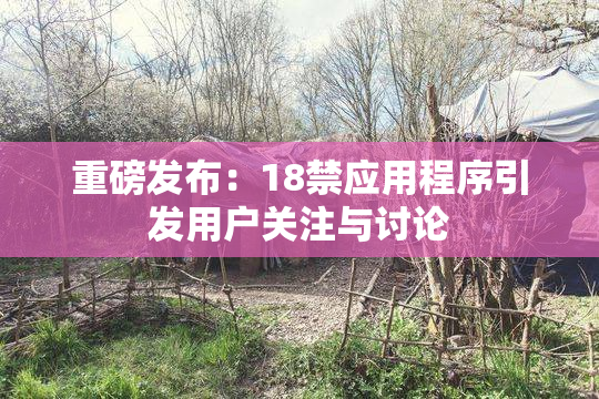 重磅发布：18禁应用程序引发用户关注与讨论