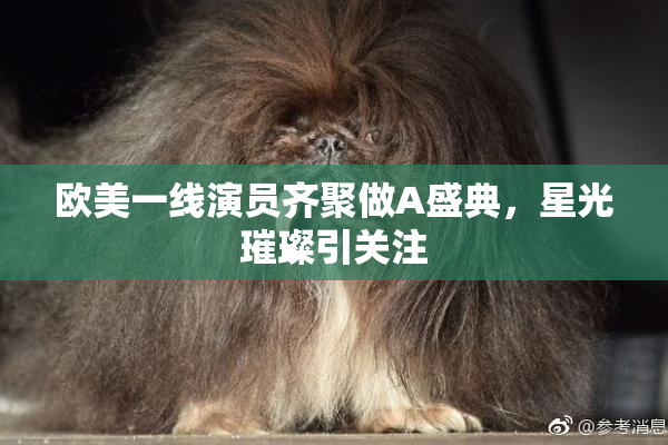 欧美一线演员齐聚做A盛典，星光璀璨引关注