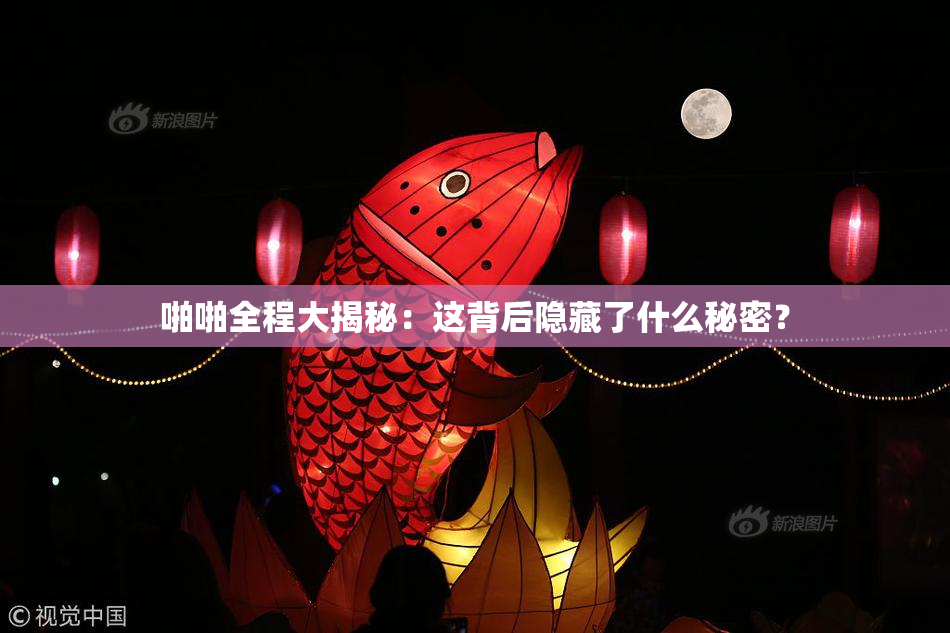 啪啪全程大揭秘：这背后隐藏了什么秘密？