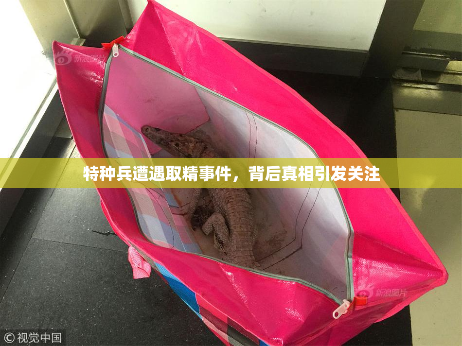 特种兵遭遇取精事件，背后真相引发关注