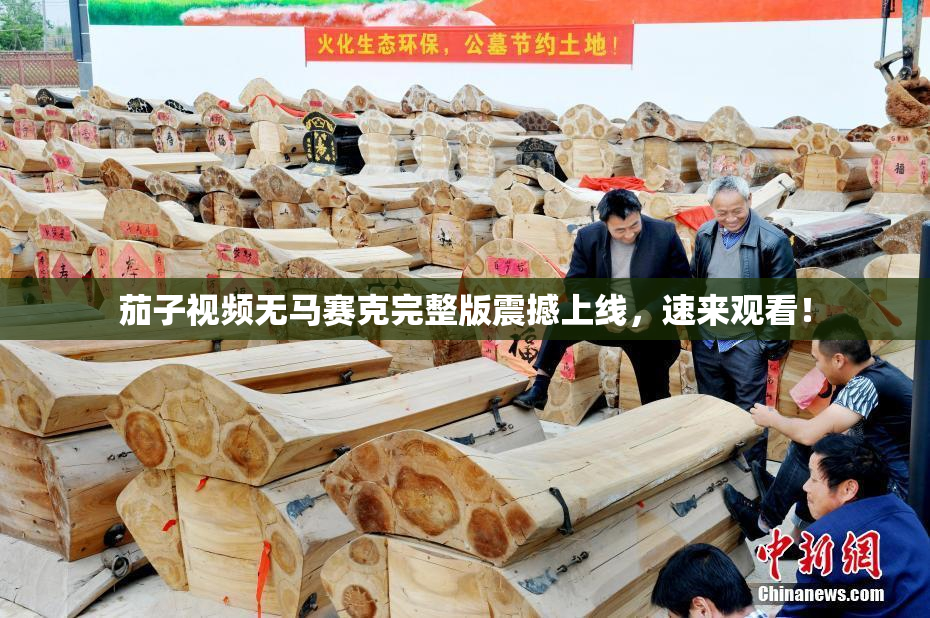 茄子视频无马赛克完整版震撼上线，速来观看！