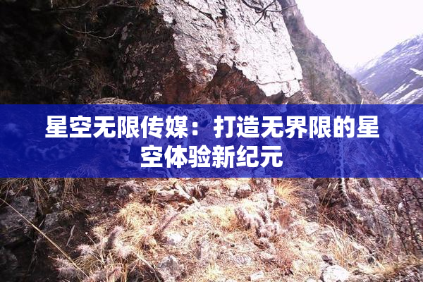 星空无限传媒：打造无界限的星空体验新纪元