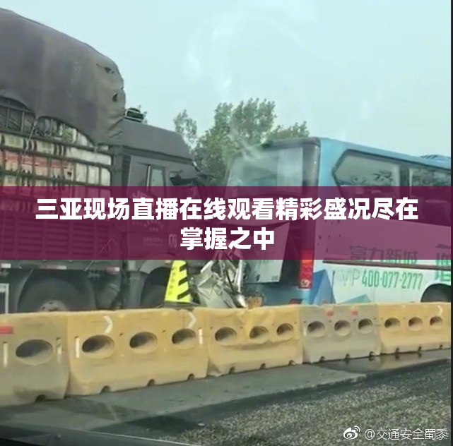 三亚现场直播在线观看精彩盛况尽在掌握之中
