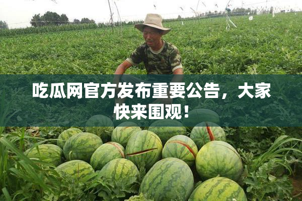 吃瓜网官方发布重要公告，大家快来围观！