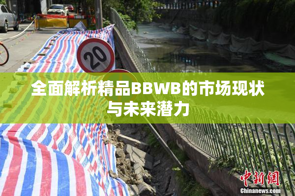 全面解析精品BBWB的市场现状与未来潜力