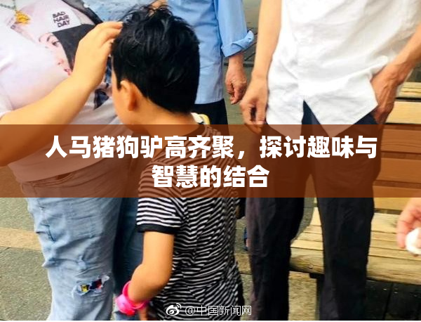 人马猪狗驴高齐聚，探讨趣味与智慧的结合
