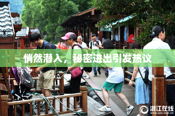 悄然潜入，秘密进出引发热议