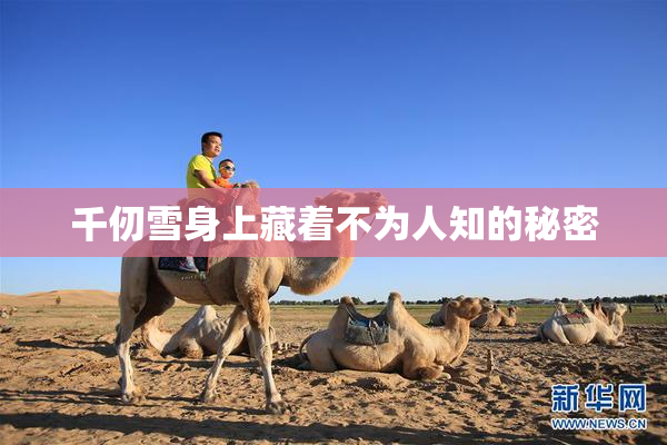 千仞雪身上藏着不为人知的秘密