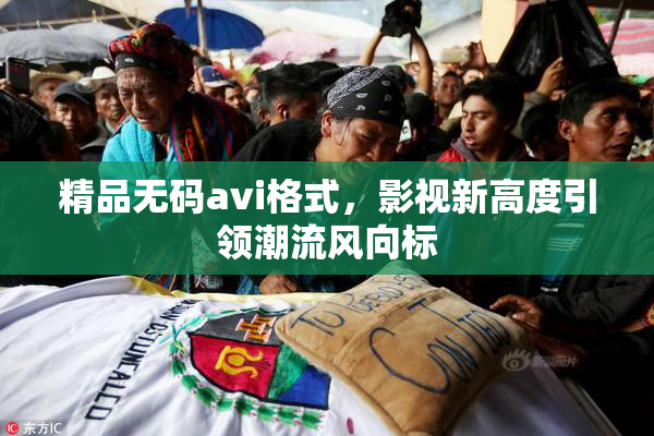 精品无码avi格式，影视新高度引领潮流风向标