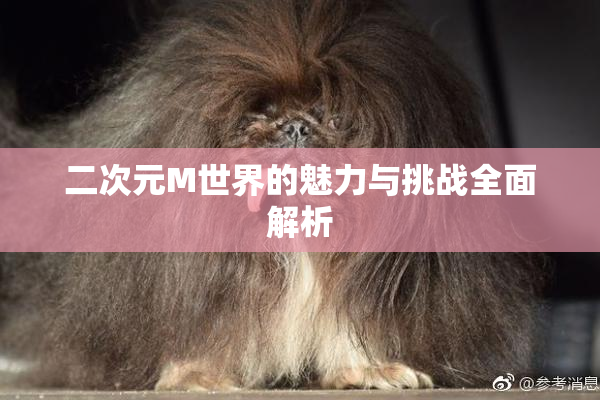 二次元M世界的魅力与挑战全面解析