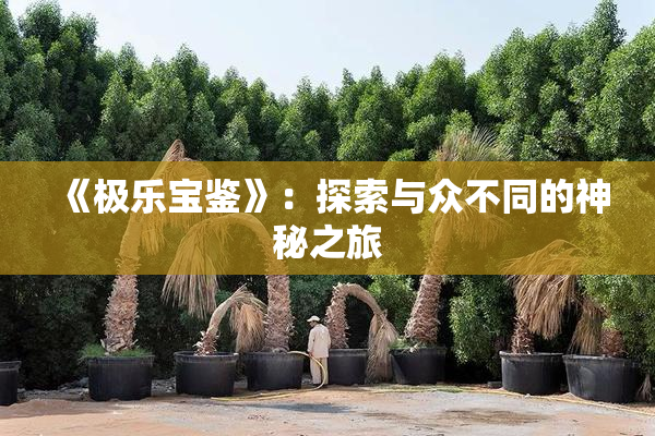 《极乐宝鉴》：探索与众不同的神秘之旅