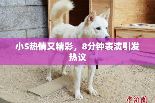 小S热情又精彩，8分钟表演引发热议