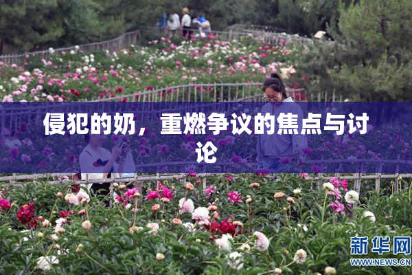 侵犯的奶，重燃争议的焦点与讨论