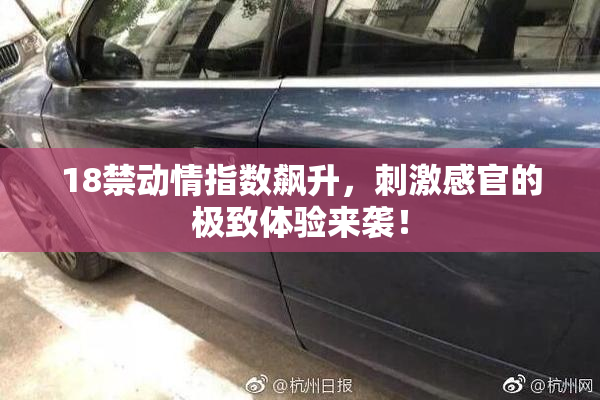 18禁动情指数飙升，刺激感官的极致体验来袭！