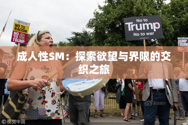 成人性SM：探索欲望与界限的交织之旅