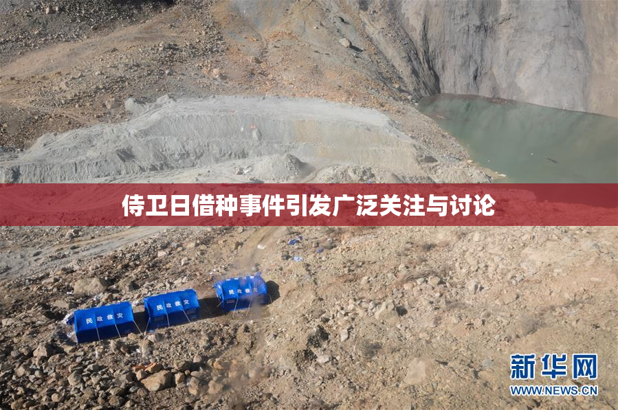 侍卫日借种事件引发广泛关注与讨论