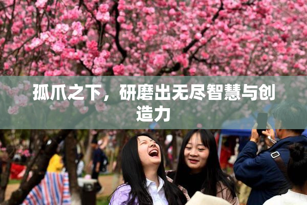 孤爪之下，研磨出无尽智慧与创造力