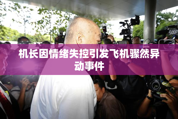 机长因情绪失控引发飞机骤然异动事件