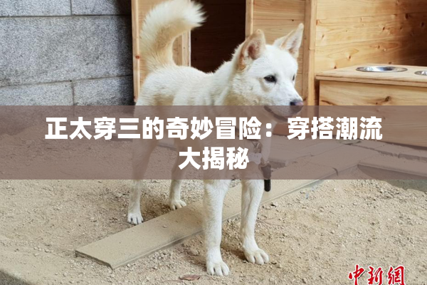 正太穿三的奇妙冒险：穿搭潮流大揭秘