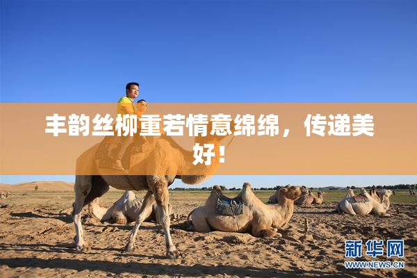 丰韵丝柳重若情意绵绵，传递美好！