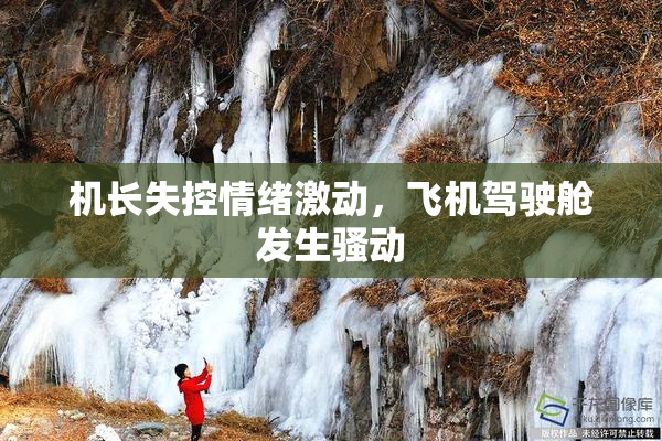 机长失控情绪激动，飞机驾驶舱发生骚动