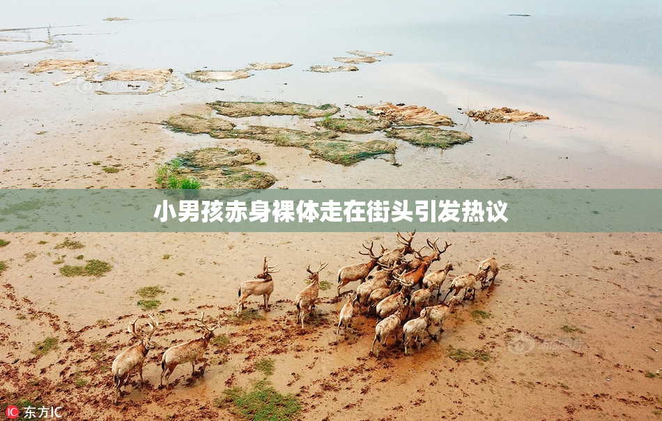 小男孩赤身裸体走在街头引发热议