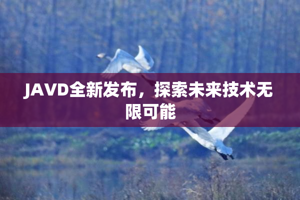 JAVD全新发布，探索未来技术无限可能