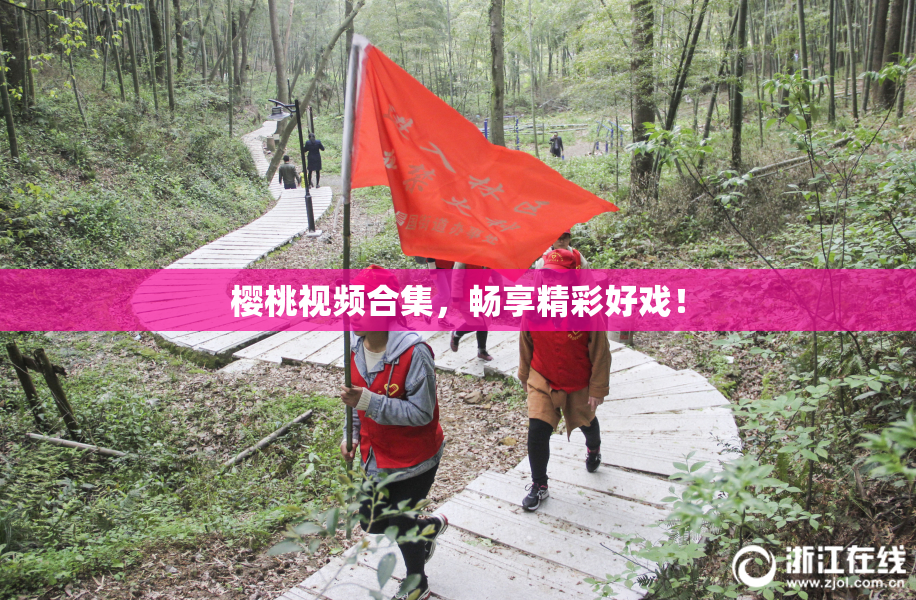樱桃视频合集，畅享精彩好戏！