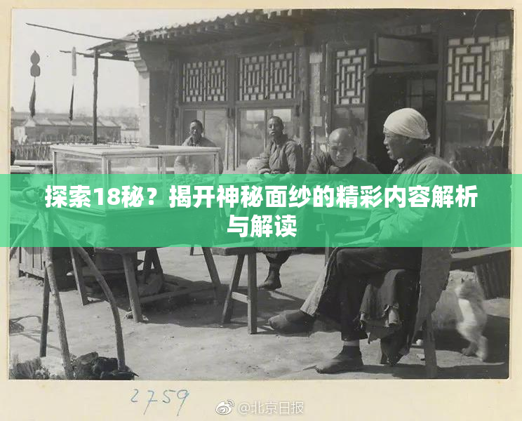 探索18秘？揭开神秘面纱的精彩内容解析与解读