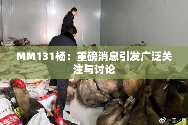 MM131杨：重磅消息引发广泛关注与讨论