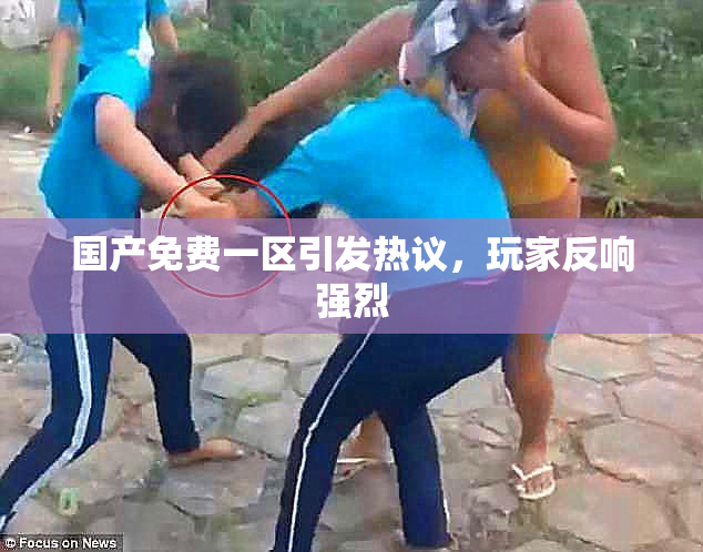 国产免费一区引发热议，玩家反响强烈