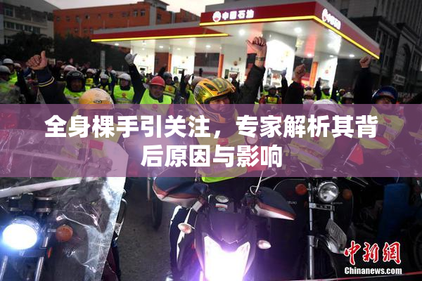 全身棵手引关注，专家解析其背后原因与影响