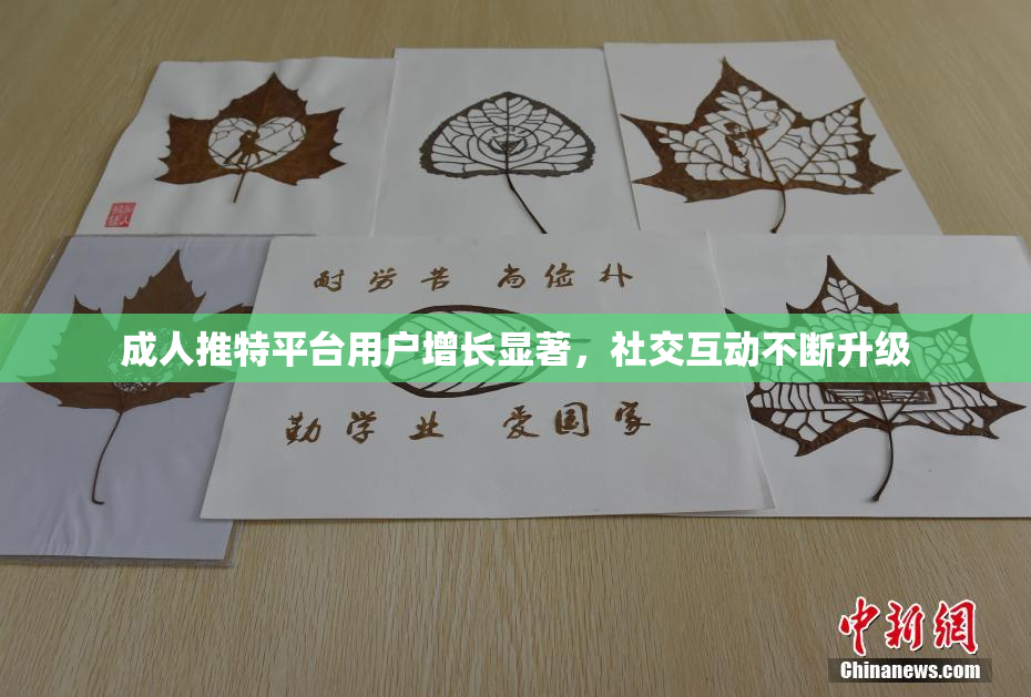 成人推特平台用户增长显著，社交互动不断升级