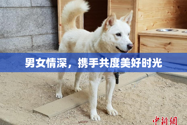 男女情深，携手共度美好时光