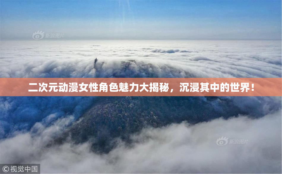 二次元动漫女性角色魅力大揭秘，沉浸其中的世界！