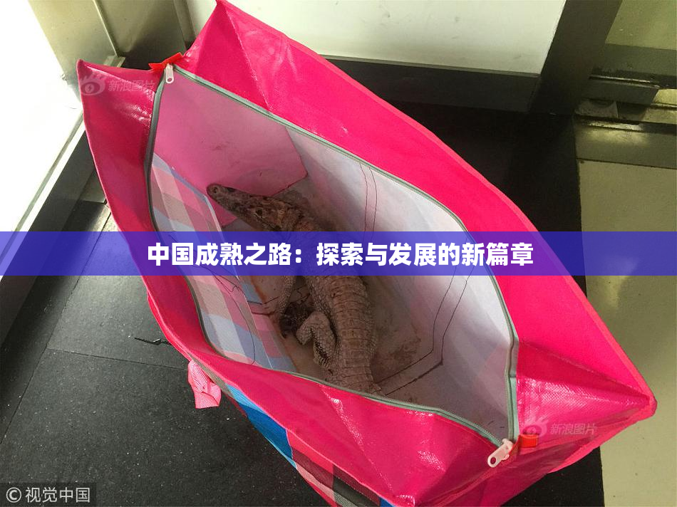 中国成熟之路：探索与发展的新篇章