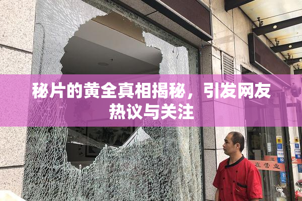 秘片的黄全真相揭秘，引发网友热议与关注