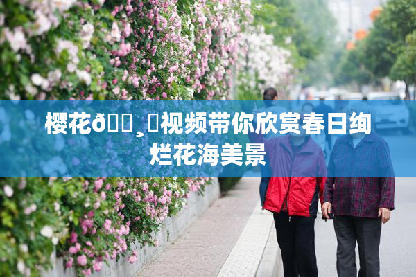樱花🌸‌视频带你欣赏春日绚烂花海美景