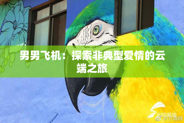 男男飞机：探索非典型爱情的云端之旅