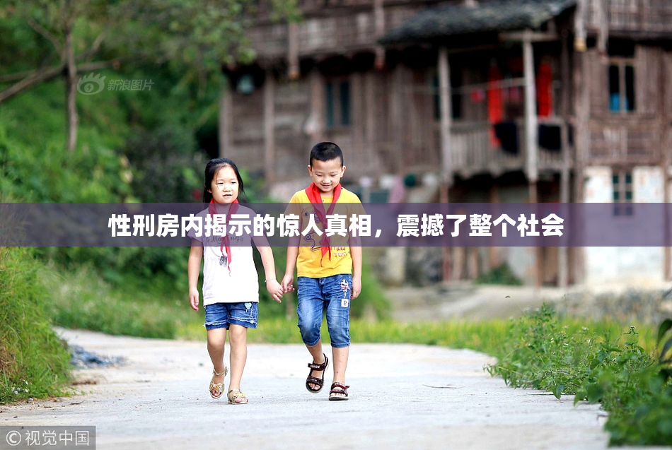 性刑房内揭示的惊人真相，震撼了整个社会