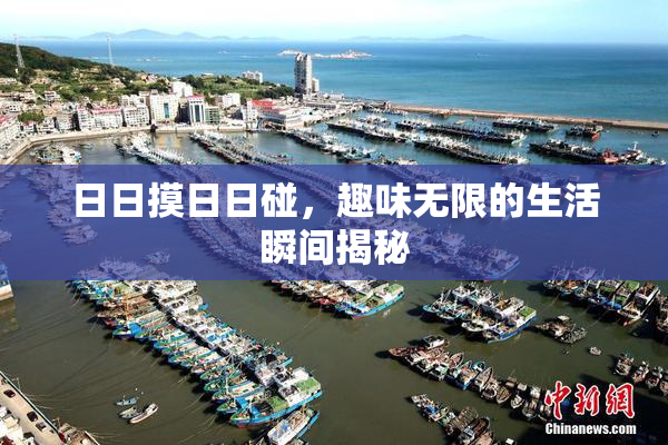 日日摸日日碰，趣味无限的生活瞬间揭秘