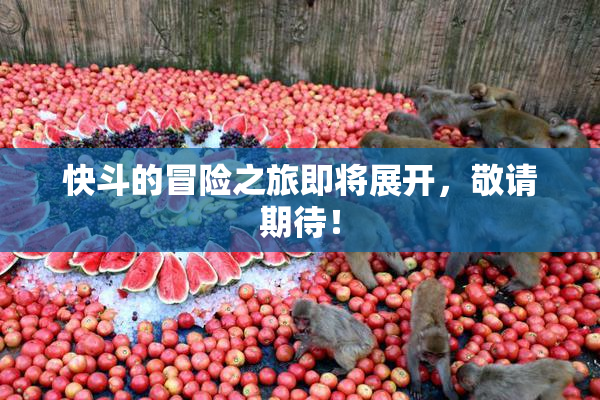 快斗的冒险之旅即将展开，敬请期待！