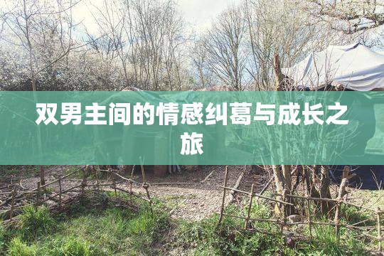 双男主间的情感纠葛与成长之旅