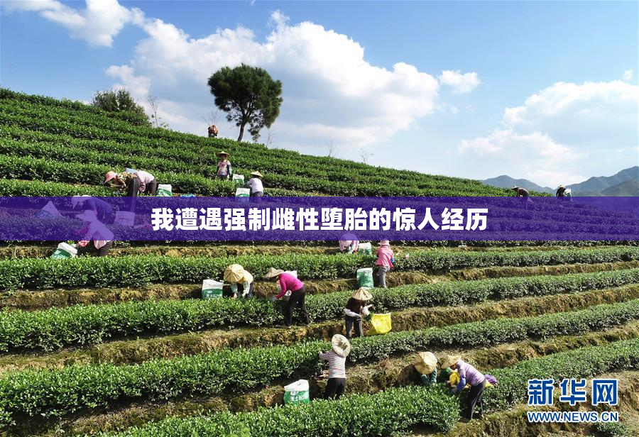 我遭遇强制雌性堕胎的惊人经历