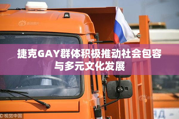 捷克GAY群体积极推动社会包容与多元文化发展